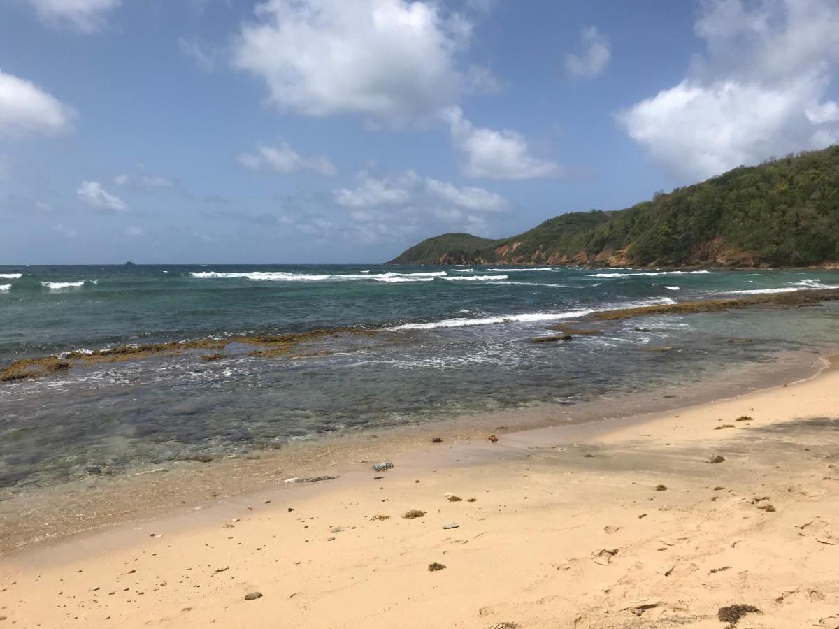 Charmant Studio A La Residence De La Baie De Tartane La Trinité Kültér fotó
